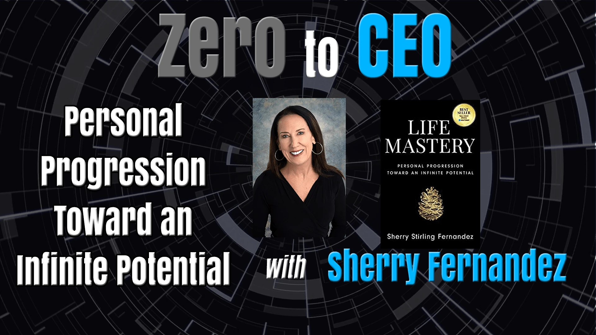 Zero to CEO image